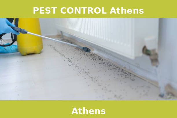 PEST CONTROL Athens